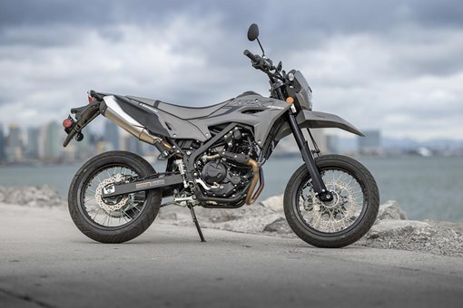 2025 KLX230SM