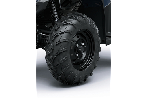 2025 BRUTE FORCE 450 